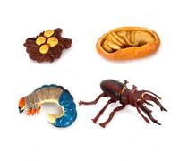 Nishiyuenyi Modelli Ciclo Vita Insetti, Plastica , style to 4 | Modelli educativi statici, plastica atossica, per bambini 7-14 anni, lezioni scienze, Per Biologia