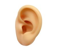 Nishiyuenyi Modello Auricolare in Silicone per Orecchini Visualizzano Il Corpo del Manichino Artificiale Simulazione FINUCIO FINUCIO per SPETTAGLIE PUOI SHOPE, Orecchio Destro