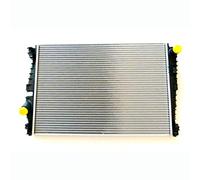 Nissens 60061 Radiatore per Raffreddamento per Motore