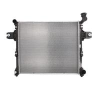 NISSENS 606254 Radiatore motore