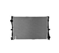 NISSENS 607117 Radiatore motore