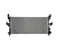 NISSENS 607131 Radiatore motore