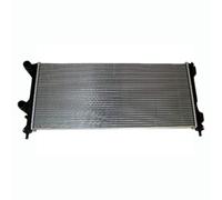 Nissens 61765 Radiatore per Raffreddamento del Motore