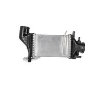 NISSENS 961455 Intercooler