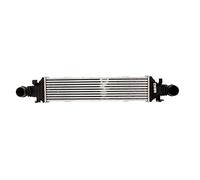 NISSENS 96534 Intercooler