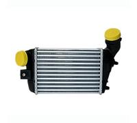 NISSENS 96698 Intercooler