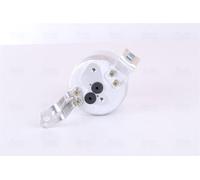 NISSENS Essiccatore climatizzatore Essiccatore Climatizzatore 95196 97 100