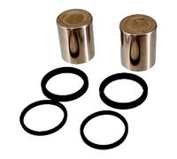 KIT PISTONE + GUARNIZIONI REVISIONE PINZA FRENO NISSIN 2A2-031 SUZUKI BURGMAN