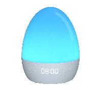 NiteBird Smart NachtLicht LB2-B