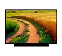 NIUFENGGEO Schermo LCD, Compatibile con ThinkPad, P14s Gen4 G4 21K5000LGE | Compatibile con Lenovo, 14" 1920*1200, matrice LED sottile, schermo del laptop