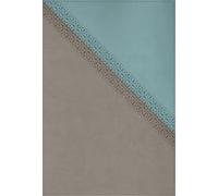 NIV Application Bible, Leathersoft, Teal/Grey, Red Letter, Comfort Print: Bringing the Ancient Message of the Bible into Your World