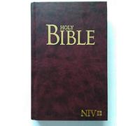 NIV Holy Bible - Brown