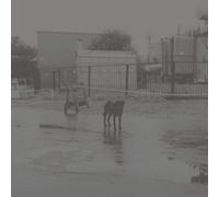 Nivhek After Its Own Death/Walking in a Spiral Towards the House (Vinyl LP)