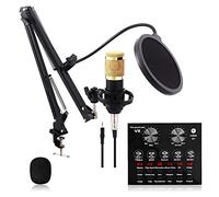 NIVOK Set Microfono per Karaoke, connessione Bluetooth, Supporto per Braccio Pieghevole, Filtro per Scheda Audio, Adatto per trasmissioni, trasmissioni in Diretta, Giochi, microfoni per