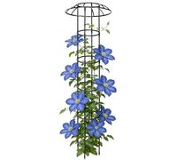 Nixiara Scaffale da arrampicata per ombrellone, di supporto verticale decorativo in acciaio per piante rampicanti, supporto da giardino a forma di ombrellone, per piante rampicanti come