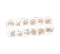 NIYANGLE 1 Scatola Charm per Unghie Zodiacali Decorazioni Nail Art Rame per Segni Zodiacali per Professionisti e Te Accessori Creativi per Unghie