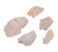 NIYANGLE 5 Pezzi Pietre Decorative per Paesaggio in Quarzo Beige Resistenti alla Deformazione, Piccole e Leggere, per Diorami e Decorazioni da Scrivania per Appassionati di Modelli