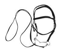 NIYANGLE Cavezza in Corda per Cavalli Regolabile, Testiera e Redini Piatte Intrecciate in Nylon Resistente, Briglia senza Morso per Addestramento ed Equitazione, Adatta per Cavalli Oltre