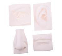 NIYANGLE Modello Didattico di Organi di Senso in PVC Morbido Set da 4 Pezzi per Schizzo Artistico e Scultura Pratica Ornamento da Scrivania per Scuola e Esercizi di Disegno