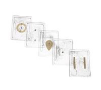 NIYANGLE Set 5 Pezzi Kit Limatura di Ferro per Esperimenti di Elettromagnetismo, Dispositivo Didattico per Campo Magnetico con Scatola, Strumento Scientifico per Laboratori Scolastici