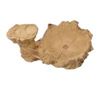 NIYANGLE Sottovaso per Piante Idroponiche Vere per Piante Brasiliano Wood in Resina Leggera e Resistente, Come Plant Dish e Water Trays for Plants da Interno su Desktop e Home