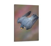 NIZIEE Poster su tela, motivo: falco pellegrino, decorativo, 20 x 30 cm