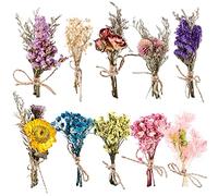 Nizirioo 10 Mazzi di Fiori Secchi, Mini Bouquet di Fiori Secchi Decorativi per Casa, Giardino, Feste e Ufficio per Fai da Te (A)