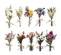 Nizirioo 10 Mazzi di Fiori Secchi Naturali, Mini Bouquet di Fiori Secchi Naturali, Fiori Secchi Decorativi Fiori Secchi Decorativi Naturali per Casa Giardino Feste Ufficio per Fai da Te (B)