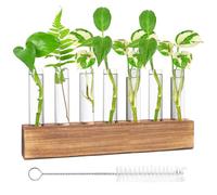 Nizirioo Vaso Per Provette, Stazione Di Propagazione, Vaso Di Fiori Provetta Di Vetro Vaso Di Vetro Idroponico Con Supporto In Legno E Spazzola, Decorazione Per La Casa, L'ufficio E Il Patio(8 Tubi)