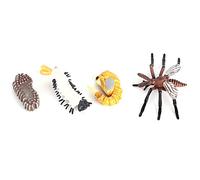 NIZUUONE Modello di Crescita del Ciclo di Vita degli Insetti Giocattolo Figurine Educative Fasi di Crescita degli Insetti Realistici per i Bambini Che Apprendono Progetti Scolastici con Materiale in