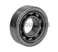 NJ204 SKF 20 x 47 x 14 mm CYL. ROLL. SINGLE ROW Cuscinetto a rulli cilindrici...