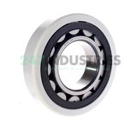 NJ320-E-XL-TVP2-F1-J20AA-C4 FAG 100 x 215 x 47 mm CYL. ROLL. SINGLE ROW Fila ...