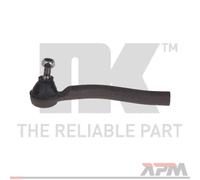 Giunto di Supporto Anteriore Sinistra per Nissan Qashqai + 2 I J10 JJ10 Renault