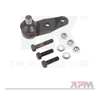 Perno braccio oscillante 5043919 NK per RENAULT NISSAN