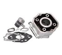 Cilindro Naraku 50cc per Derbi EBE, EBS