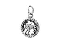 NKlaus Ciondolo in argento Sterling 925 con segno zodiacale dell'oroscopo
