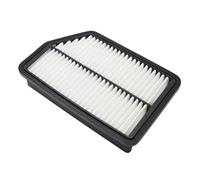 NKURTPC Filtri Aria Motore Auto Filtro Aria Motore abitacolo Adatto per Hyundai Tucson Ix35 IX LM Adatto per Kia Sportage SL 2011-2016 28113-2S000 Kit filtri Auto