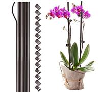 NLDGR 10 pali di supporto per piante con 15 clip per piante, 61 cm di altezza, pali per fiori pieghevoli per piante da interno, clip e pali per orchidee