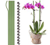 NLDGR 10 picchetti di supporto per piante con 15 clip per piante, 61 cm di altezza per fiori a stelo singolo e bastoni pieghevoli per piante da interno, clip e pali per orchidee