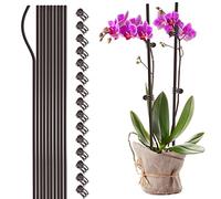NLDGR 10 picchetti di supporto per piante con 15 clip per piante, alti 40,6 cm, bastoncini per piante pieghevoli per piante da interno, clip e pali per orchidee