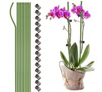 NLDGR 10 picchetti di supporto per piante con 15 clip per piante, alti 40,6 cm, bastoncini per piante pieghevoli per piante da interno, clip e pali per orchidee