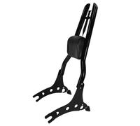 NLELQVZVRM Cuscino Posteriore Schienale Passeggero Compatibile Con Per Accessories Chieftain Challenger Vintage Pursuit Dark Horse 2014-2025