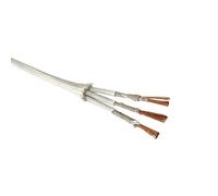 NLLeZ 1 PZ 500 ° Cavo di Alta Temperatura Cavo di Temperatura 2 Core 3 Filo Nucleo Resistente al Calore Mica Metallico Intrecciato ignifugo 0.5mm 0.75mm 1.0mm 1.5mm 2.5mm 4.0mm