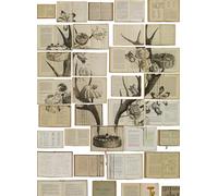 NLXL Carta da parati EKA-02 Bibliotheca - EKA-02