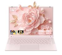 Nmybwo Computer portatile da 14 '' 16 GB DDR4 RAM 1 TB SSD, 2K UHD (2160 x 1440) IPS Display Laptop, CPU Celeron N150 (fino a 3,6 Ghz) Win 11 PC portatile WiFi 5, Type-C, fotocamera da 3 MP, 6000 mAh