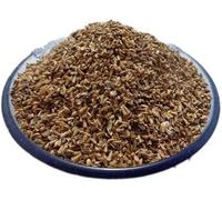 NN Kasni Seeds-100 Grm Chicory Seeds-Endive Intybus