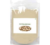 NN Putrajevak Beej Powder, Putrajivak Seed (50 grams)