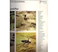 No Artist - Stimmen Der Vögel Mitteleuropas - V. Vögel In Feld Und Flur - ETERNA - 8 21 284