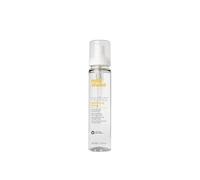 no frizz glistening spray 100ml