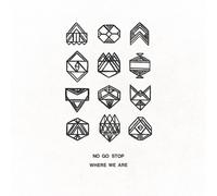 No Go Stop Where We Are (Vinyl LP) 12" Album